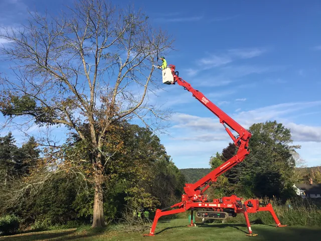 Emmons Tree & Landscaping Service, LLC work photo