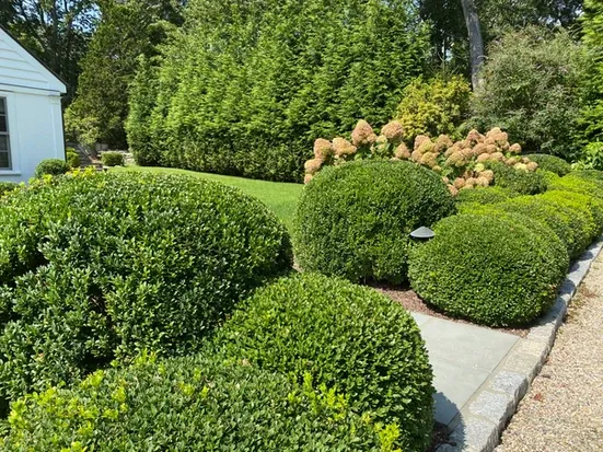 work photo from mcdermottlandscapedesign.com