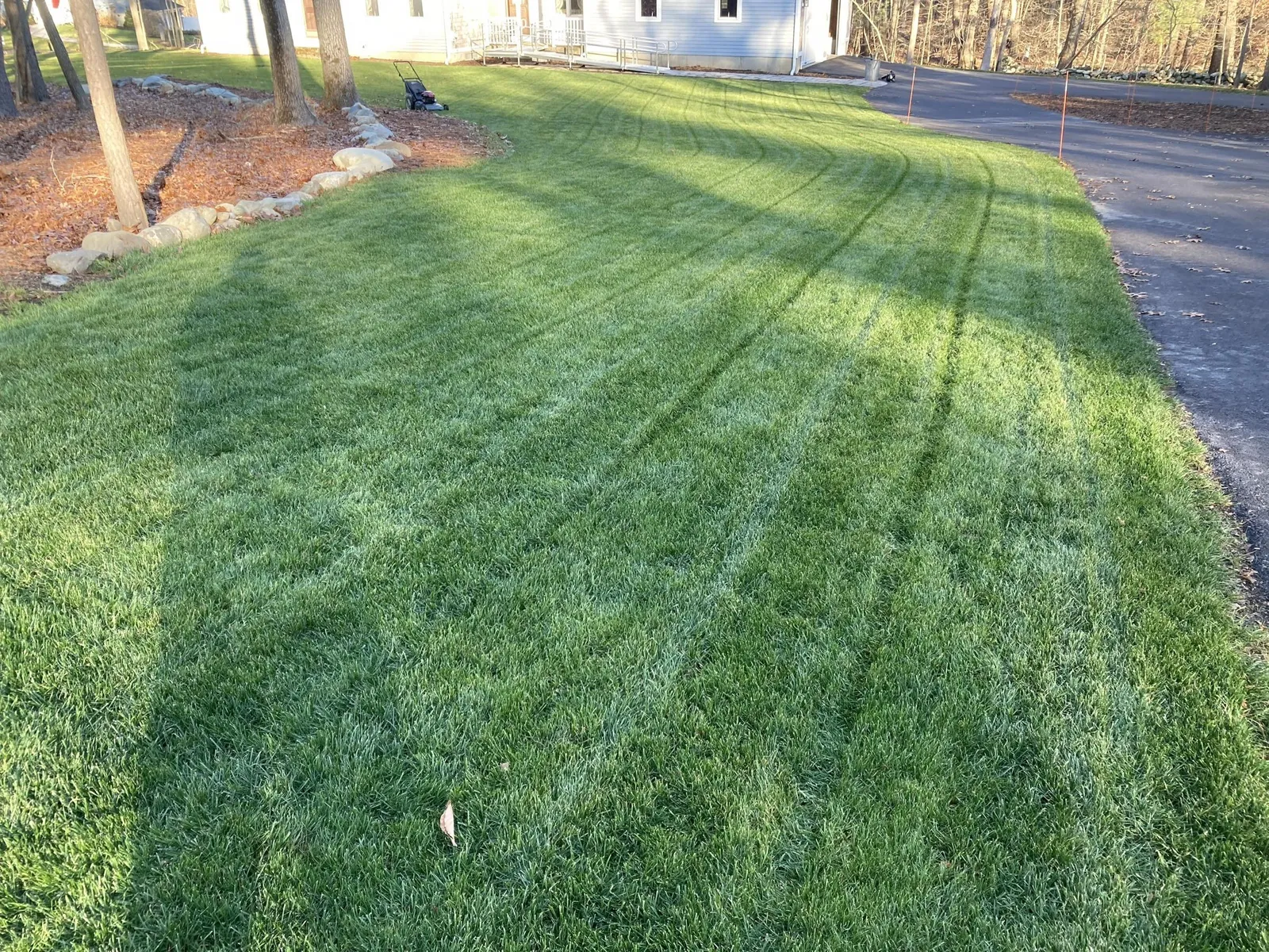 work photo from proturfcare.net