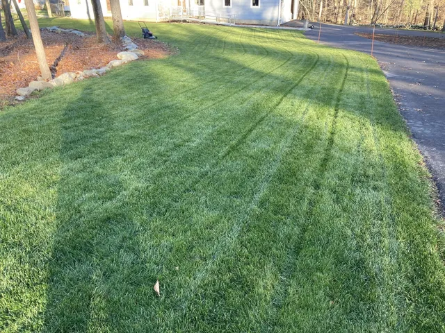 work photo from proturfcare.net