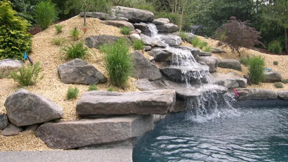 work photo from aquaticdreamscapes.com