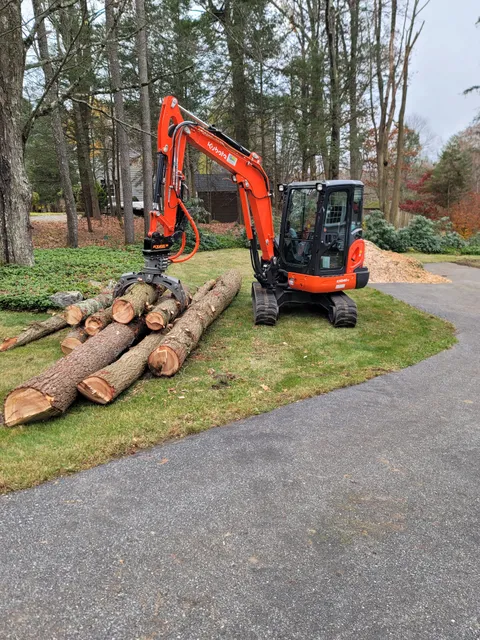 Arbor Care Tree Service, LLC work photo