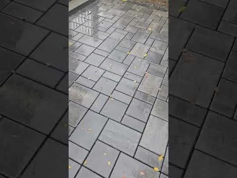 American Elm Landscape patio project video