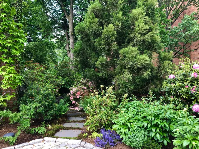 177_Hope Shade Garden  1 After.jpeg