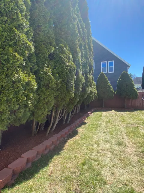 TCoyne Landscaping work photo