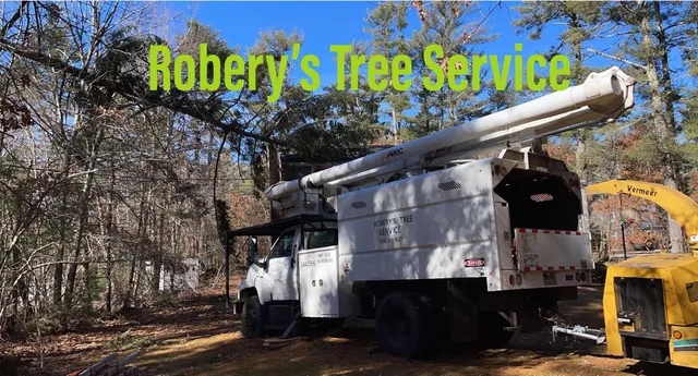 Robery's Tree Service work photo