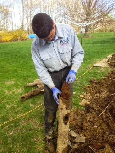work photo from Google listing