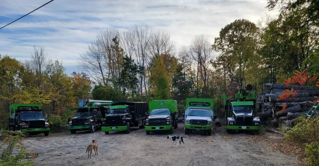 A row of green trucks are parked in a gravel lot.