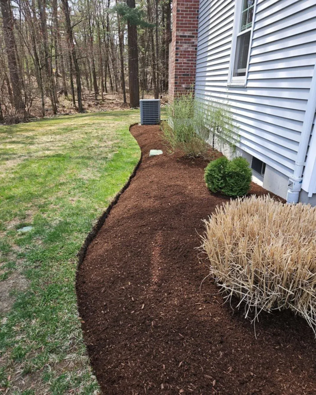 Nothing like fresh mulch and clean edges 🌱

A simple upgrade that makes a big difference in both curb appeal and plant health

Call 781-835-8864 or visit masslawnpros.com to book

#landscaping #southshorema #curbappeal #lawncare #yardgoals