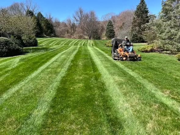 Freshly mowed green lawn with clean professional stripes by Gardner and Sons Landscaping