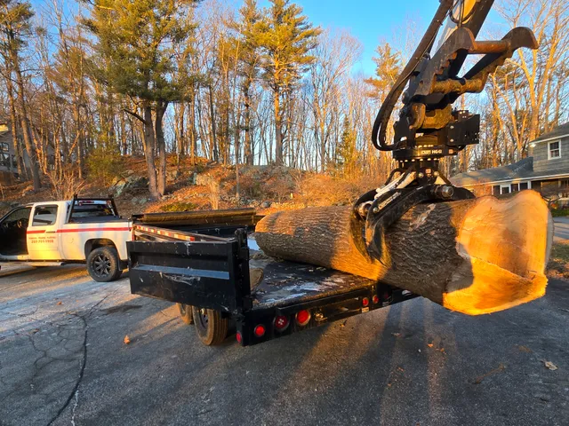 Red Line Tree Care LLC work photo
