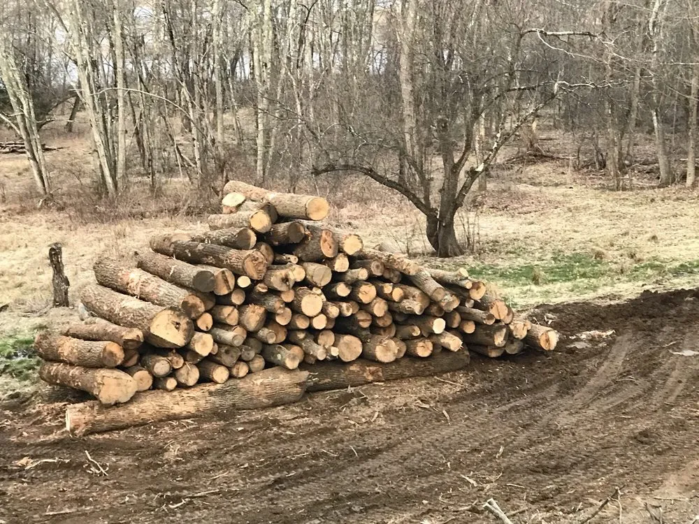 J. Bonin Tree Services, LLC verified work photo