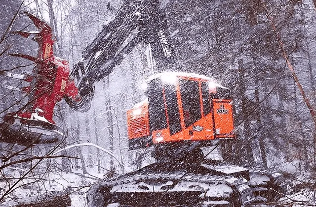 work photo from andersontimberharvesting.com