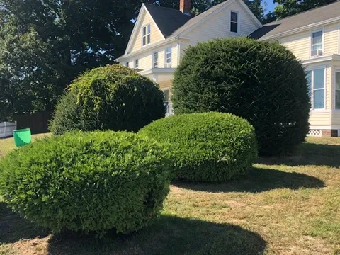 work photo from armandoandsonslandscaping.com