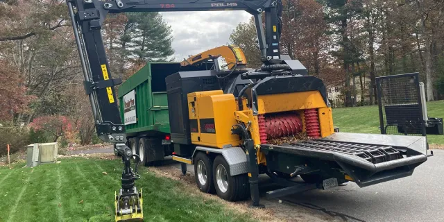 Bradley Tree & Landscape LLC work photo