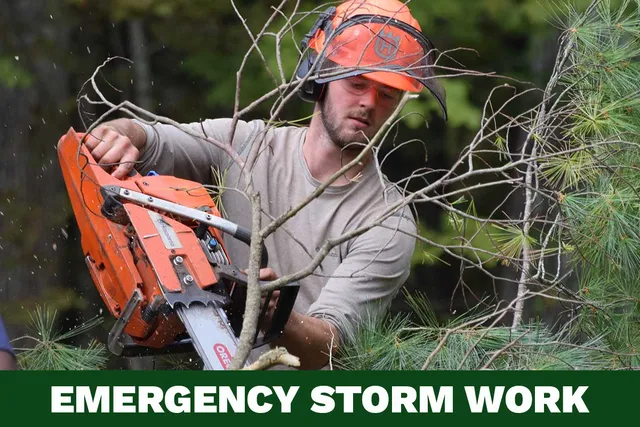 Maine’s 24/7 Emergency Storm Solution