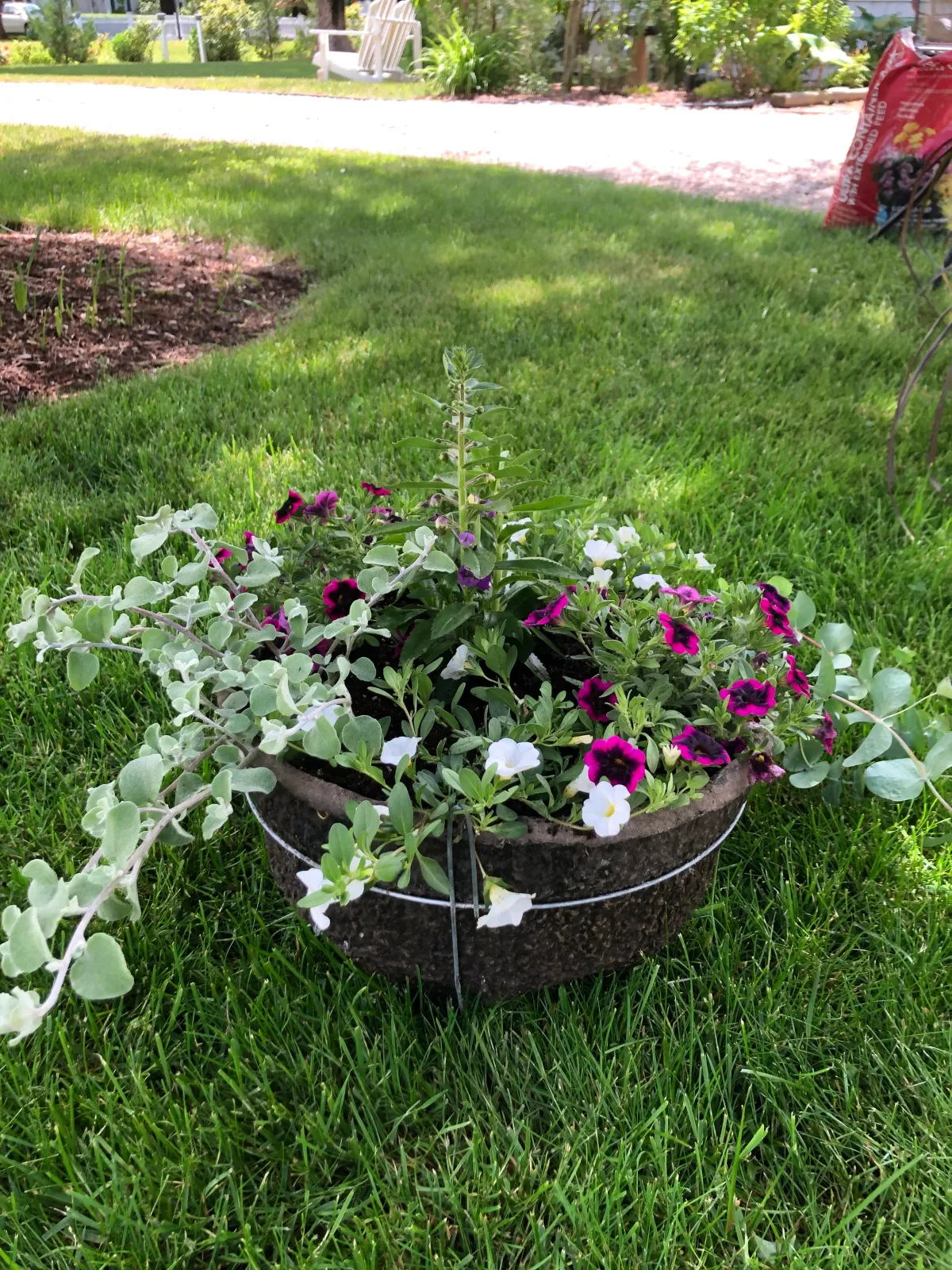 Cape cod gardening, flowers, landscaping, orleans, Chatham