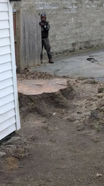 Reliable Tree Service