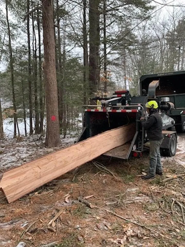 work photo from bedfordtrees.com
