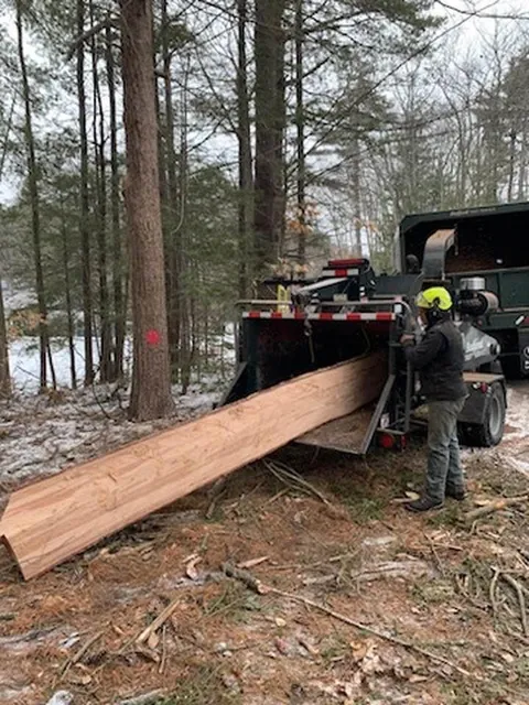 work photo from bedfordtrees.com