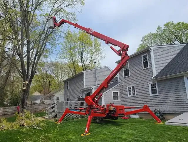 work photo from aboveandbeyond-treeservice.com