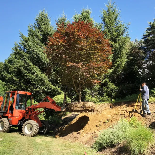Tree Installation in Fairfield County CT