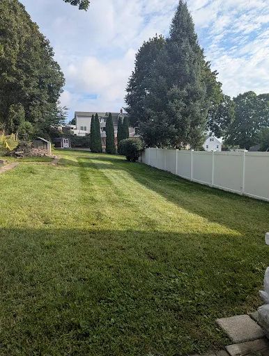SM Landscaping and Lawncare work photo