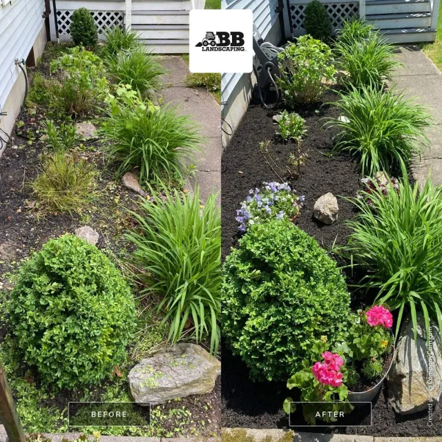 BB LANDSCAPING work photo