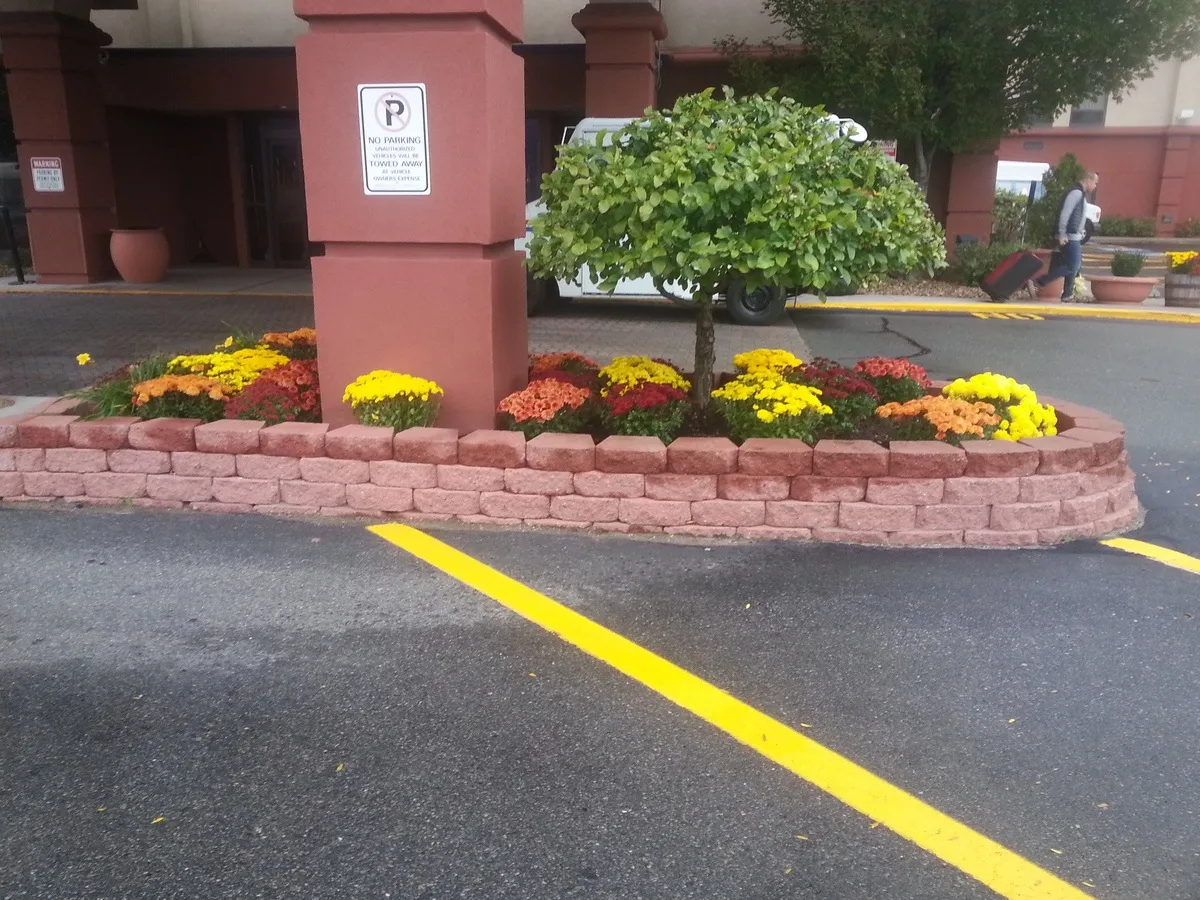 Steve's Services Landscaping & Snow Removal