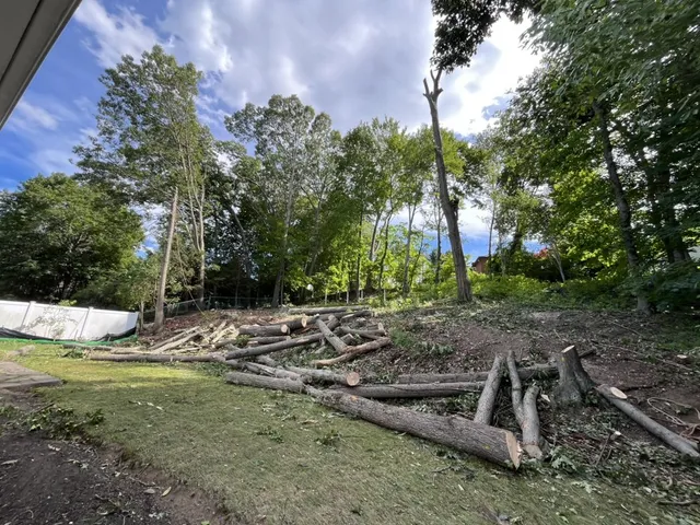 SORIANO LANDSCAPING AND CONSTRUCTION researched project photo
