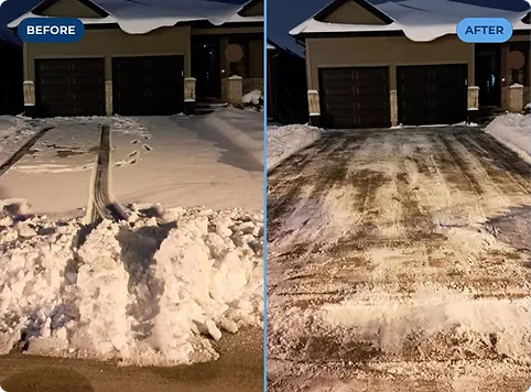 Outdoor landscaping and ground preparation