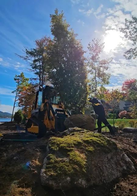 work photo from grownrighttreeandshrub.com