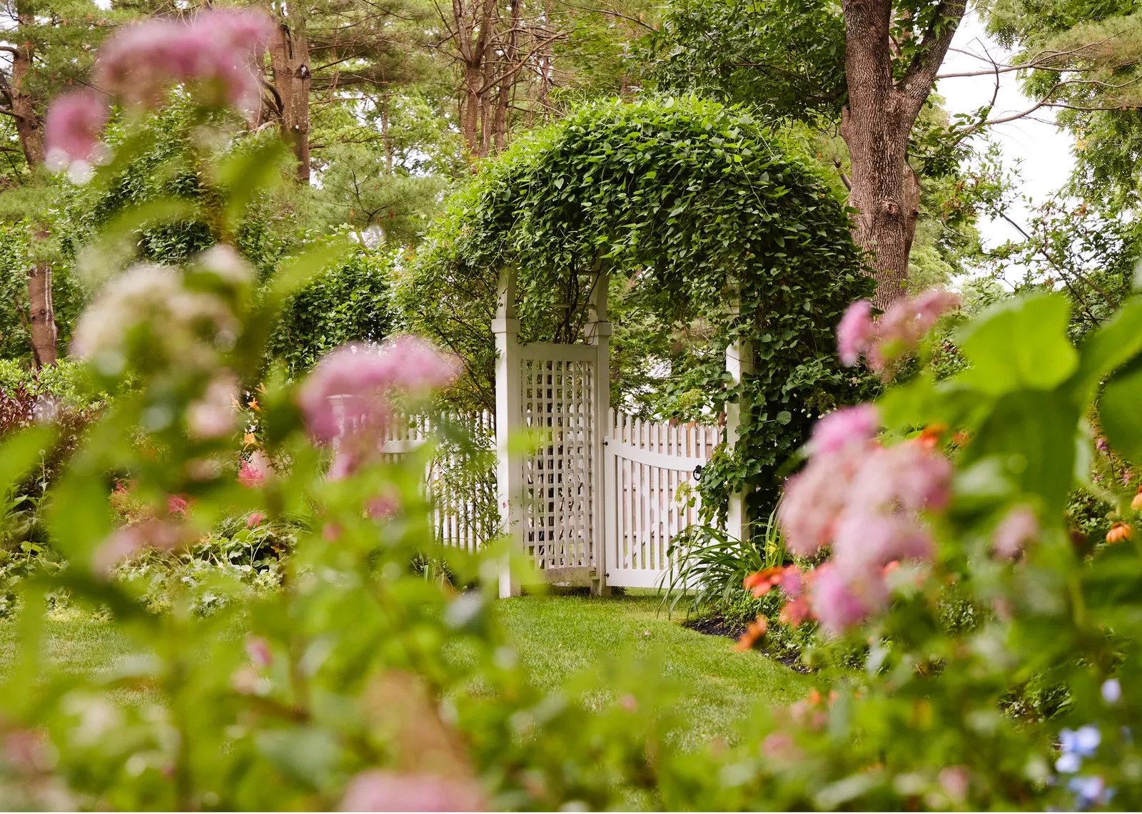 Garden. Planting. Landscaping. Perennial. Annual. Landscape. Garden Design. Pruning. Transplanting. Outdoor Design.