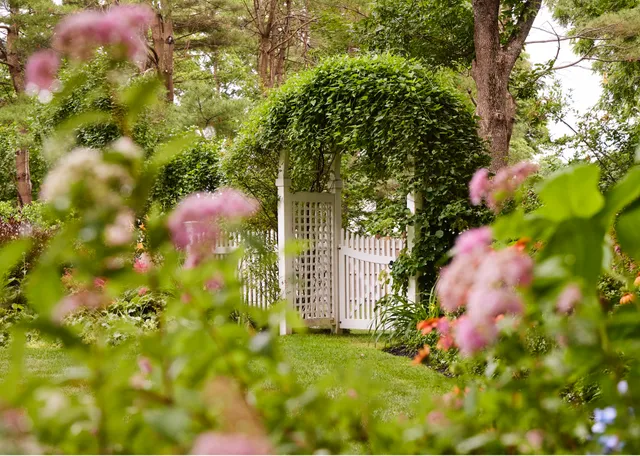 Garden. Planting. Landscaping. Perennial. Annual. Landscape. Garden Design. Pruning. Transplanting. Outdoor Design.