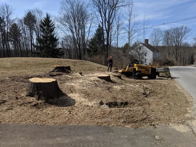work photo from jmessinastumpgrindingnh.com