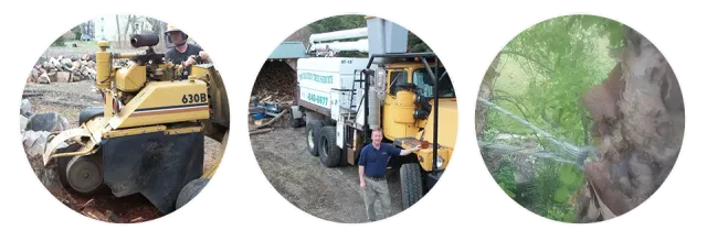 A man is standing next to a bulldozer and a truck.