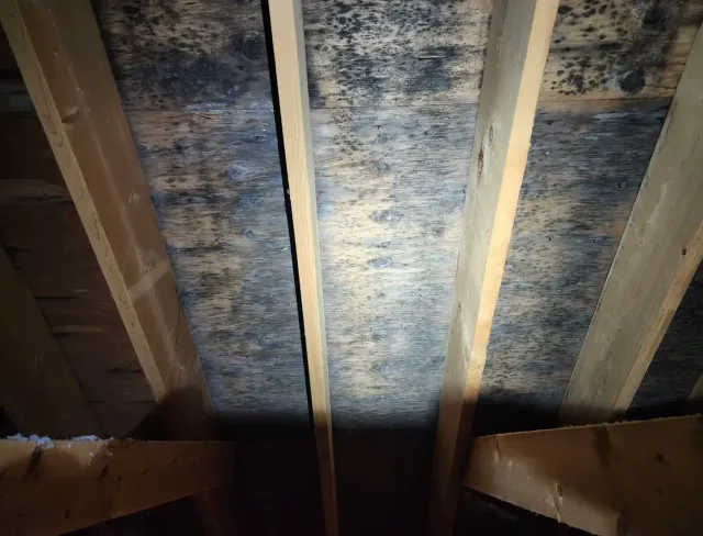 Mold Solutions
