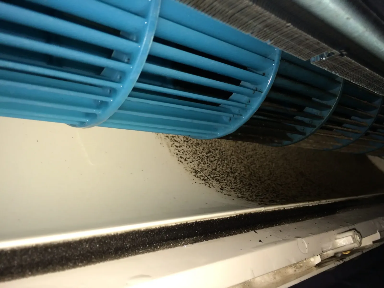 work photo from luxcoilwash.com