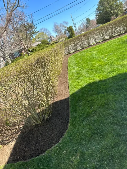 Shoreline Landscaping Milford researched project photo