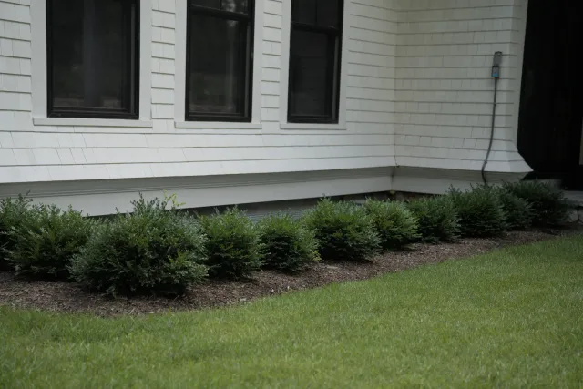 work photo from supremelandscapeinc.com