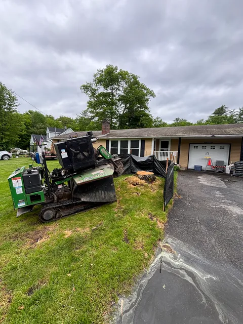 Maine Roots Stump Grinding LLC work photo