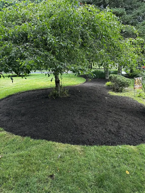 work photo from limitlesslandscapeconstruction.com