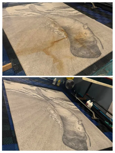 work photo from dirtawaycarpetcleaning.com