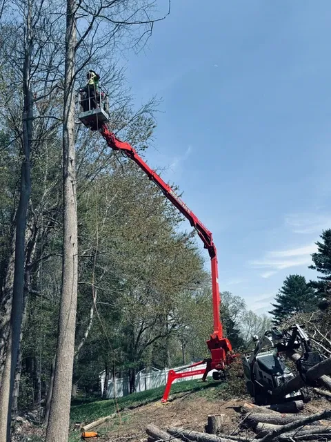 work photo from brendanslandscape.com