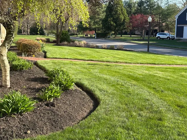 Garden of Eden Landscape work photo