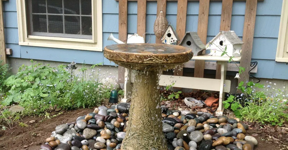 I Love Ponds.com researched project photo