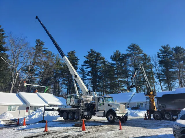 SavATree work photo