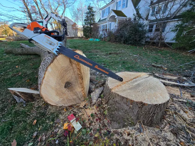 A chainsaw on a fallen tree in a yard with a house and trees in the background.