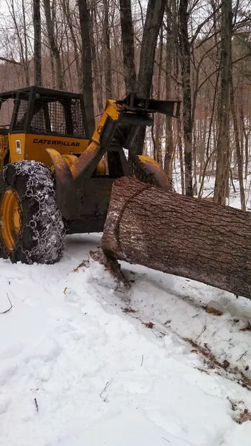 work photo from jwlandclearing.com
