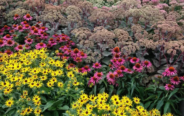 Flower_Garden2.jpg